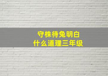 守株待兔明白什么道理三年级