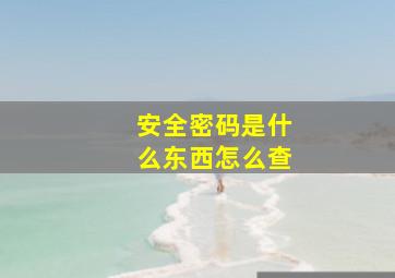 安全密码是什么东西怎么查