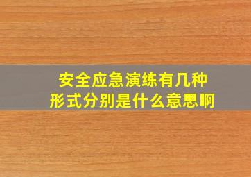 安全应急演练有几种形式分别是什么意思啊