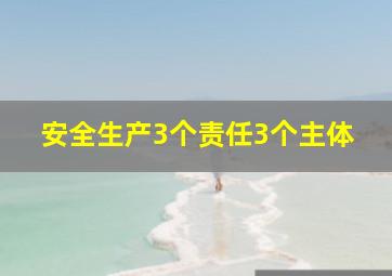 安全生产3个责任3个主体