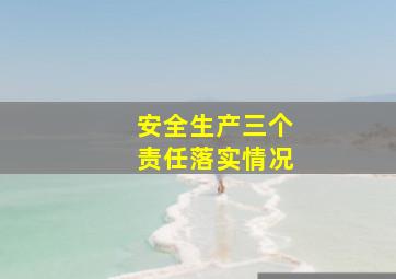 安全生产三个责任落实情况