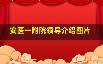 安医一附院领导介绍图片