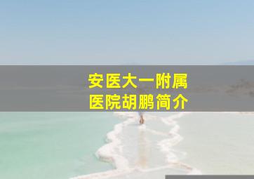 安医大一附属医院胡鹏简介