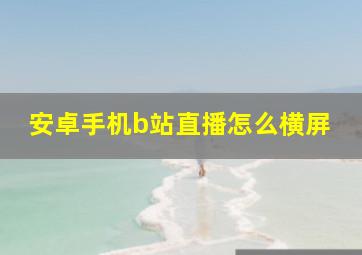 安卓手机b站直播怎么横屏