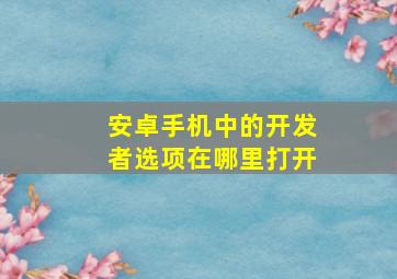 安卓手机中的开发者选项在哪里打开