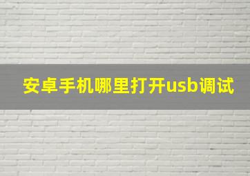 安卓手机哪里打开usb调试