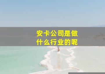 安卡公司是做什么行业的呢