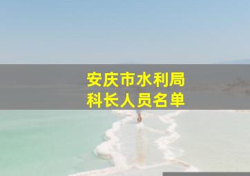 安庆市水利局科长人员名单