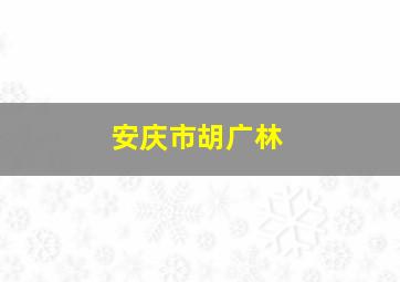 安庆市胡广林