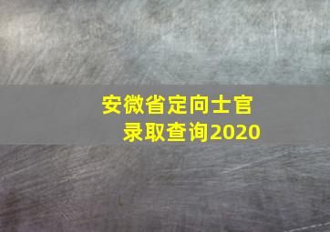 安微省定向士官录取查询2020