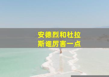 安德烈和杜拉斯谁厉害一点