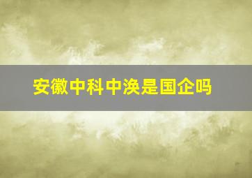 安徽中科中涣是国企吗