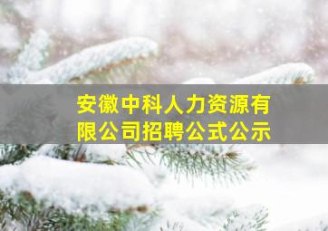 安徽中科人力资源有限公司招聘公式公示