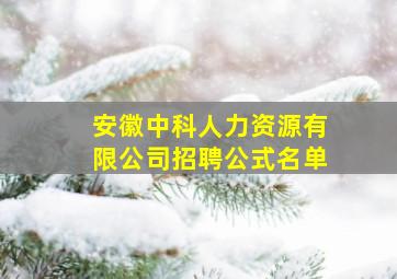 安徽中科人力资源有限公司招聘公式名单