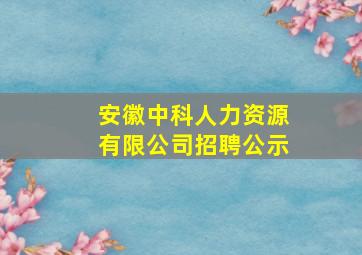 安徽中科人力资源有限公司招聘公示