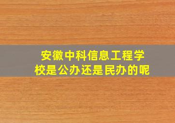 安徽中科信息工程学校是公办还是民办的呢