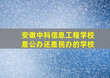 安徽中科信息工程学校是公办还是民办的学校