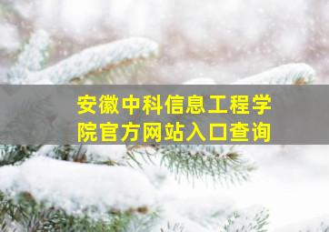 安徽中科信息工程学院官方网站入口查询