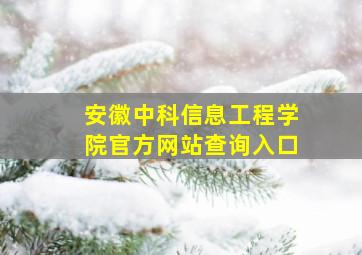 安徽中科信息工程学院官方网站查询入口