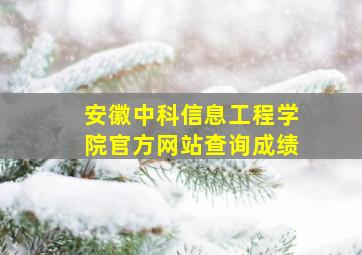 安徽中科信息工程学院官方网站查询成绩