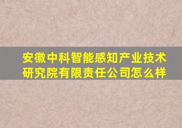 安徽中科智能感知产业技术研究院有限责任公司怎么样