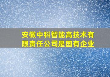 安徽中科智能高技术有限责任公司是国有企业