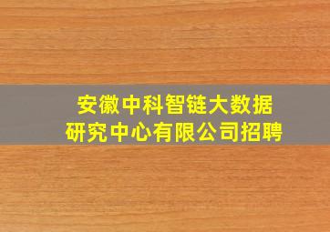 安徽中科智链大数据研究中心有限公司招聘