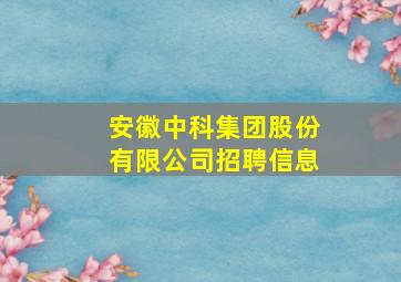 安徽中科集团股份有限公司招聘信息