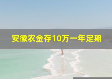 安徽农金存10万一年定期