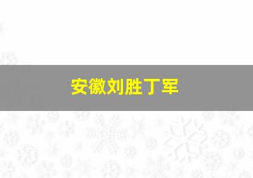 安徽刘胜丁军