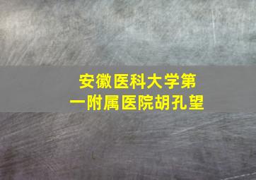 安徽医科大学第一附属医院胡孔望