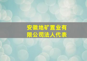 安徽地矿置业有限公司法人代表