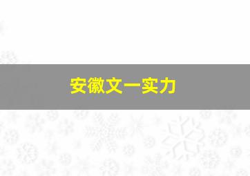 安徽文一实力