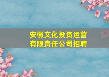 安徽文化投资运营有限责任公司招聘