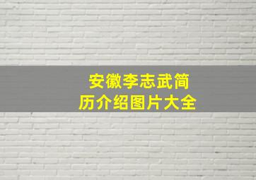 安徽李志武简历介绍图片大全