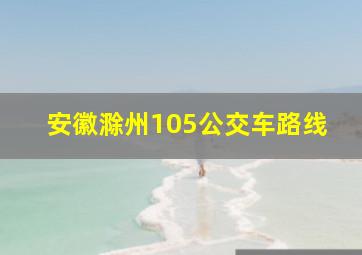 安徽滁州105公交车路线