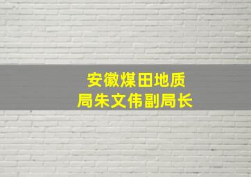 安徽煤田地质局朱文伟副局长