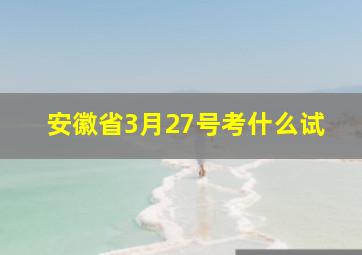 安徽省3月27号考什么试