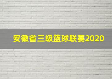 安徽省三级篮球联赛2020