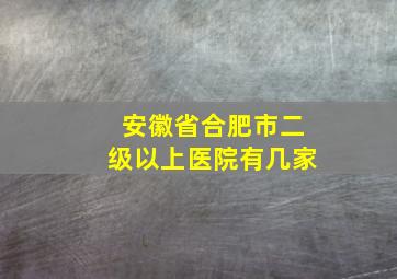 安徽省合肥市二级以上医院有几家