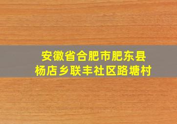 安徽省合肥市肥东县杨店乡联丰社区路塘村