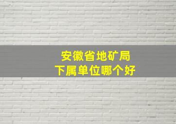 安徽省地矿局下属单位哪个好