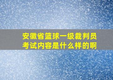 安徽省篮球一级裁判员考试内容是什么样的啊