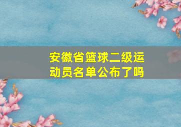 安徽省篮球二级运动员名单公布了吗