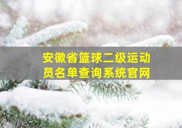 安徽省篮球二级运动员名单查询系统官网