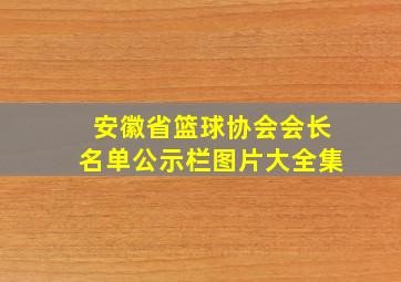 安徽省篮球协会会长名单公示栏图片大全集