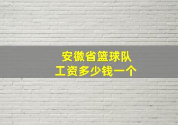 安徽省篮球队工资多少钱一个