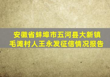 安徽省蚌埠市五河县大新镇毛滩村人王永发征信情况报告