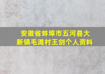 安徽省蚌埠市五河县大新镇毛滩村王剑个人资料