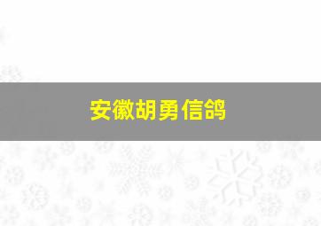 安徽胡勇信鸽